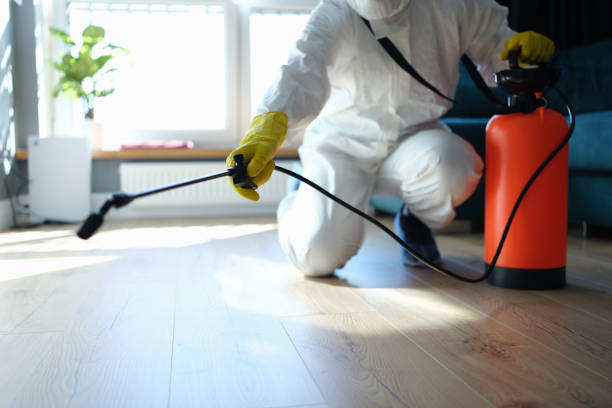 Reliable Hoarding Cleanup contractor in Columbia, IL by Dulley Family Biohazard Services